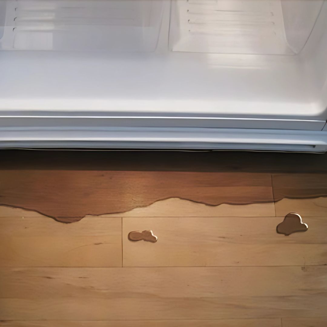 Fridge Water Leakage
